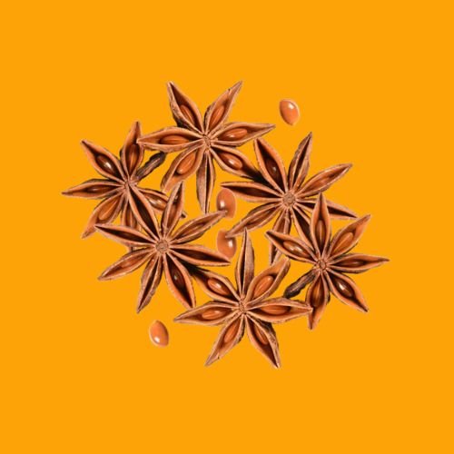 Star Anise ( चक्र फूल )