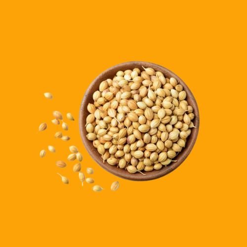 Whole Coriander Seeds ( साबुत धनिया )