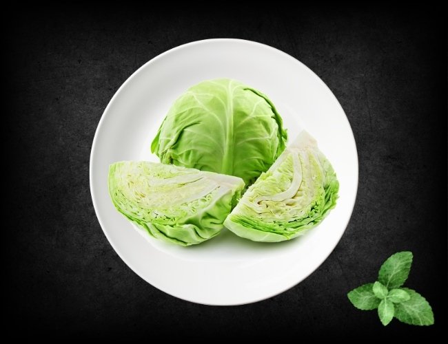 Cabbage