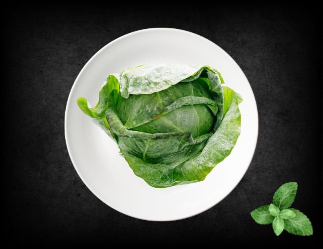 Frozen-Cabbage