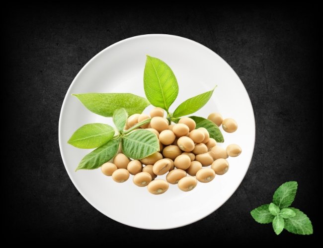 Soybean-Seeds