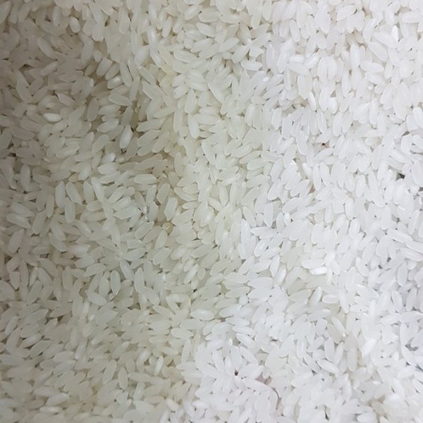 Badshah-Bhog-Rice