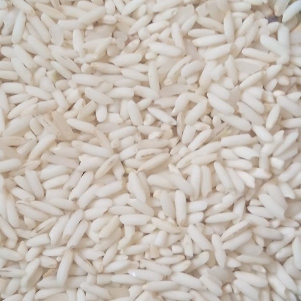 Bora-Rice