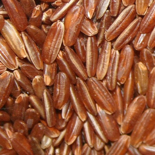 Brown-Rice
