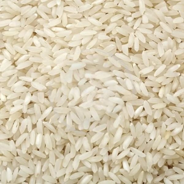 SHARBATI-NON-BASMATI-RICE