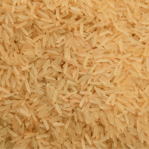 SUGANDHA-GOLDEN-SELLA-NON-BASMATI-RICE