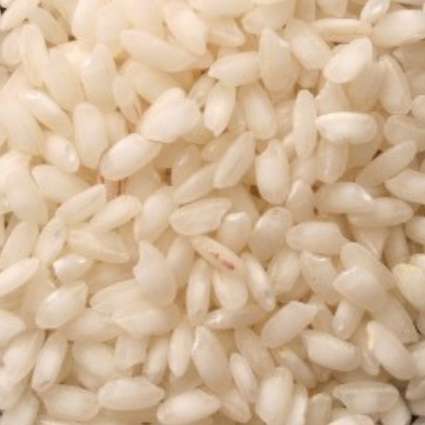 Sarju-52-Rice