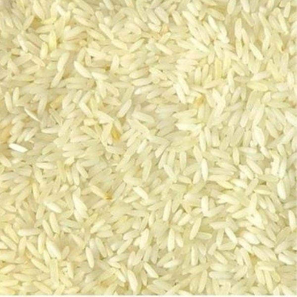 Surti-Kolam-Rice