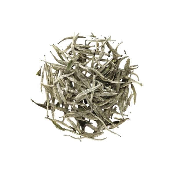 Organic-White-Tea