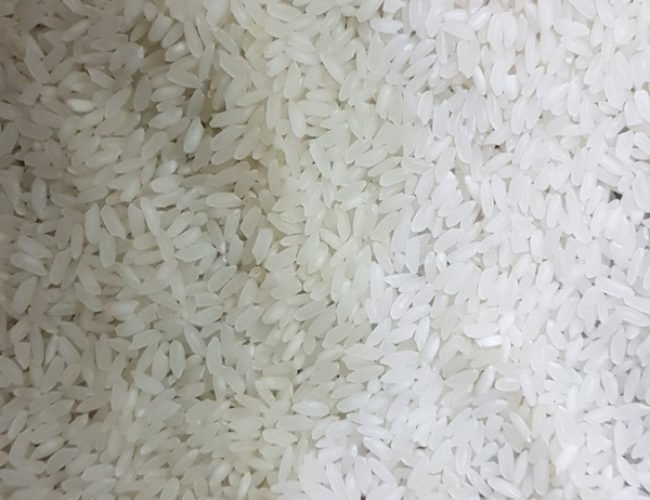 Badshah-Bhog-Rice