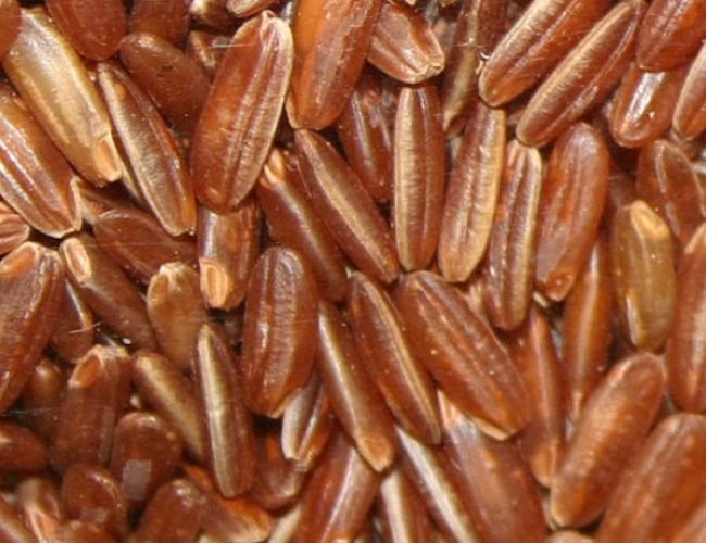 Brown-Rice