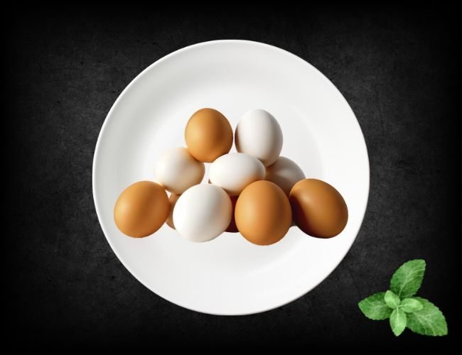 Eggs Eggs