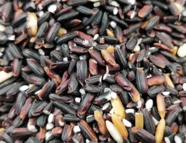 Manipur-Black-Rice