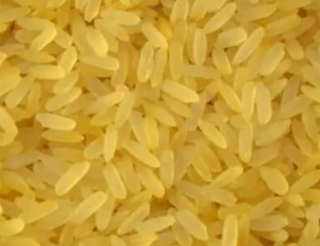 PARMAL-GOLDEN-SELLA-NON-BASMATI-RICE