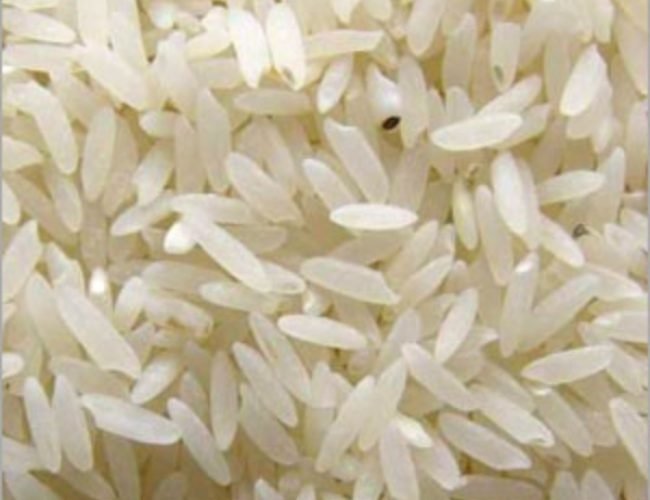 PARMAL-SELLA-NON-BASMATI-RICE PARMAL-SELLA-NON-BASMATI-RICE