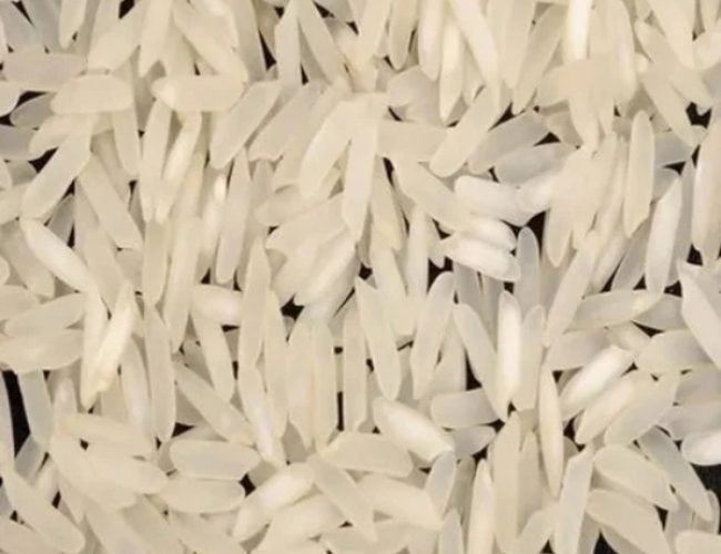 PR14-NON-BASMATI-RICE PR14-NON-BASMATI-RICE