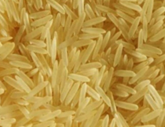 PUSA-GOLDEN-SELLA-BASMATI-RICE