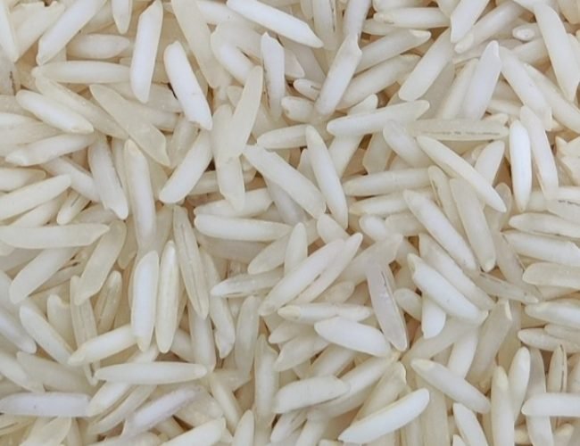 SUGANDHA-STEAM-NON-BASMATI-RICE SUGANDHA-STEAM-NON-BASMATI-RICE