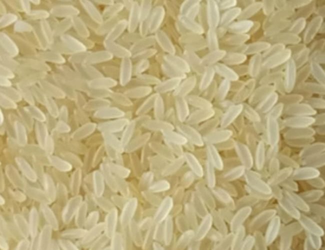 Swarna-Non-Basmati-Rice